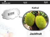Fruits in Hindi | Hindi Lessons for Kids | Hindi Nursery Rhymes
