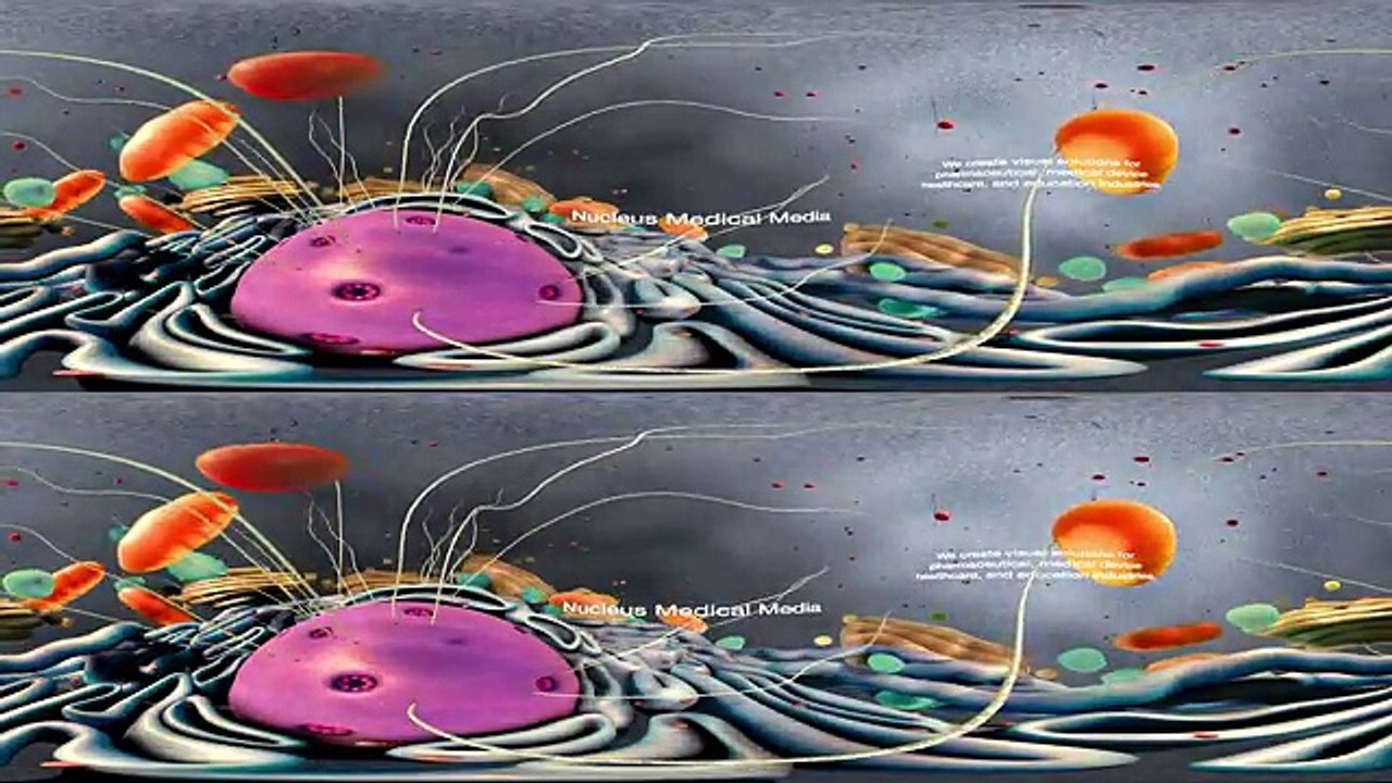 360° Cellular Activity Animation (demo)