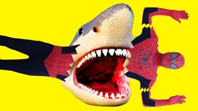 SPIDERMAN vs SHARK ATTACK w/ Frozen Elsa, Joker Superhero Fun