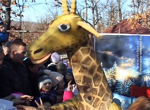 Dedamrazijada u borskom Zoo vrtu, 24. decembar 2016 (RTV Bor)