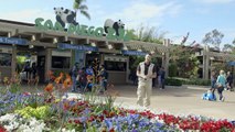 San Diego Zoo Partners With Sanford Childrens Hospital