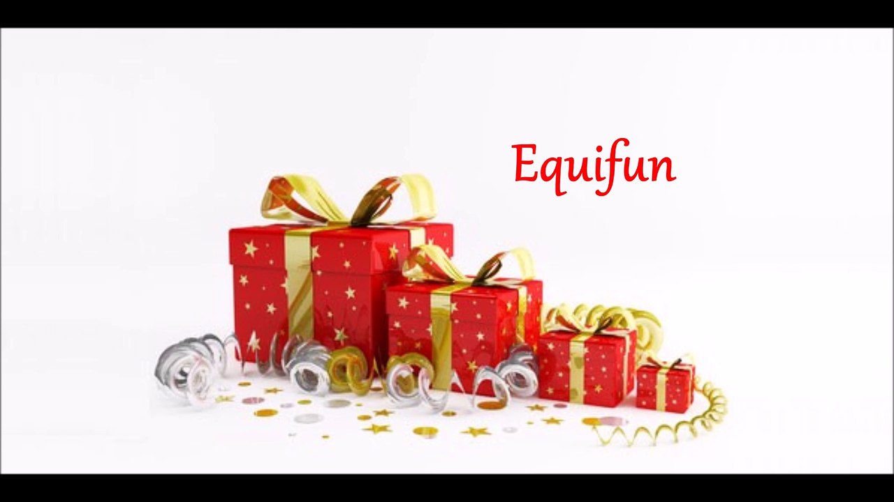 Noel au poney club des cours 2016