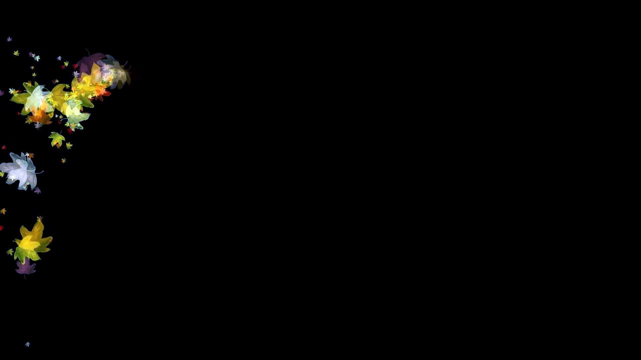 Leaves Shower - Royalty Free effect video Footage VFX