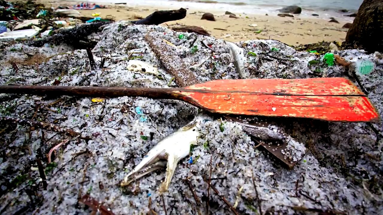 A Plastic Ocean Official Trailer