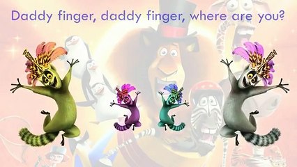 Madagascar 2 Finger Family Song - nursery rhymes songs for babies - kids songs