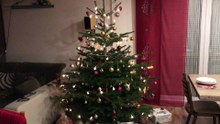Frohe Weihnachten