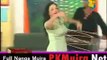 Nida Chaudhry hot mujra stage dance 2016