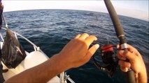 Peche du thon sur chasses dans le golfe de Gascogne 2/3 HD