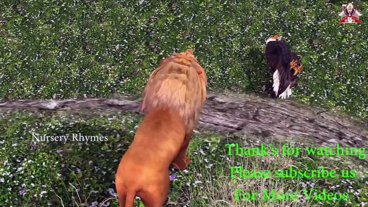 short film || LION ATTACKED THE DEER & EAGLE ATTACKED LITTLE LION & LION ATTACKED EAGLE
