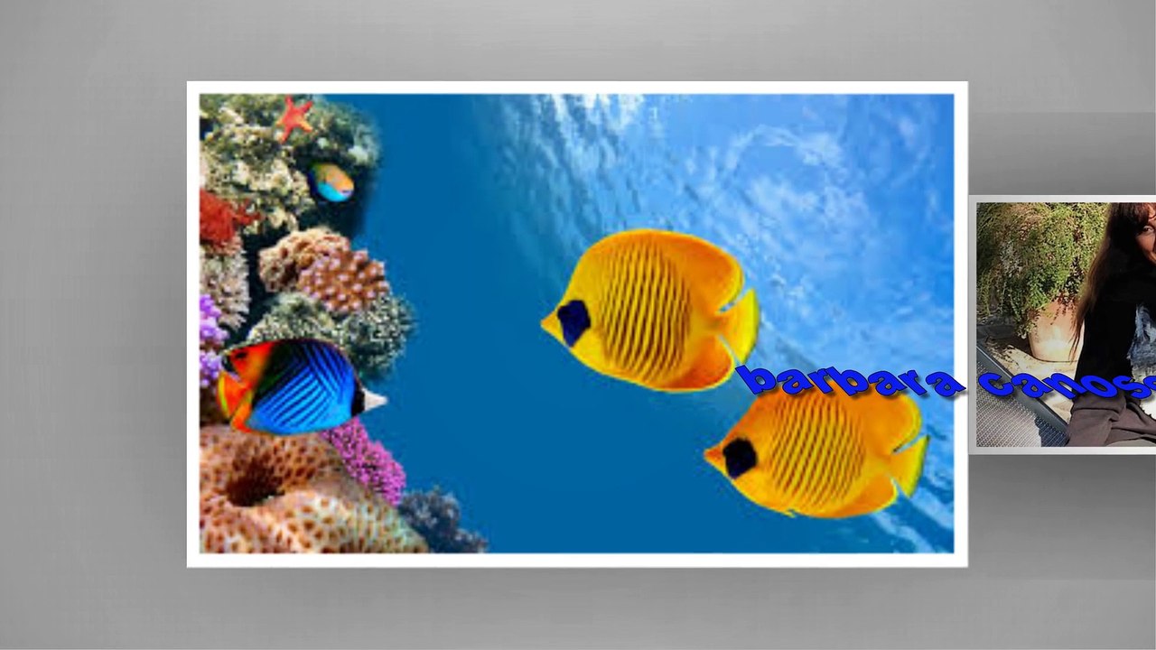 viaggio maldive  dicembre 2016