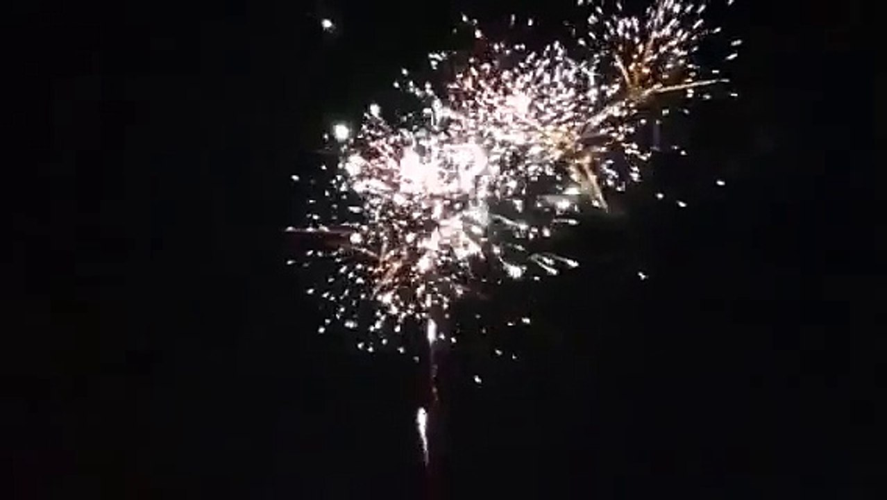 2017