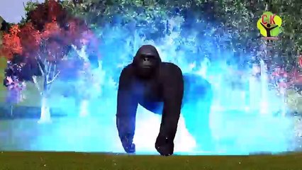 Finger Family Nursery Rhymes Dragons Dinosaurs Cartoons King Kong | Tiger Finger Family Rhyme