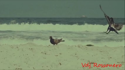 Brandy - Another Day In Paradise (Maxim Andreev Nu Disco Mix 2015) HD