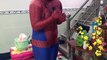 superheroes in real life spiderman vs venom | superheroes spiderman vs frozen elsa | superheroes