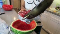 How to Make Watermelon Jello with BOBA SEEDS!! Gummy DIY fun and messy!