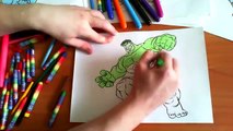 HULK New Coloring Pages for Kids Colors Superheroes Coloring colored markers felt pens pencils