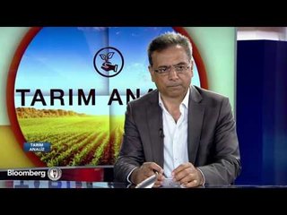 Tarım Analiz "Kırmızı Et Fiyatları" | 20 Temmuz 2016