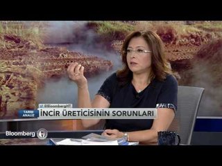 Tarım Analiz "Türkiye'de Kuru İncir Üretimi" | 13 Temmuz 2016