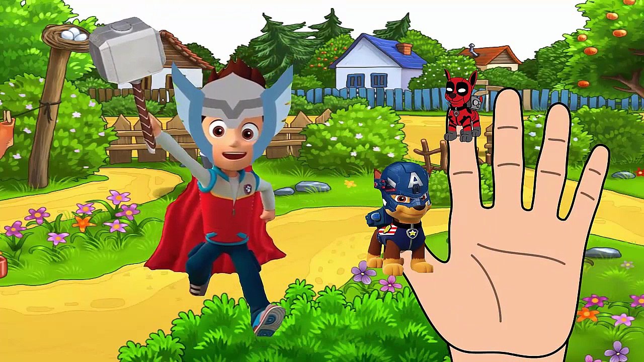 Paw Patrol Marvel Super Heroes Spiderman Hulk | Finger Family Songs Nursery Rhymes