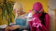 Pink Spidergirl Twins vs Spiderman vs Joker Real Life Superhero Movie