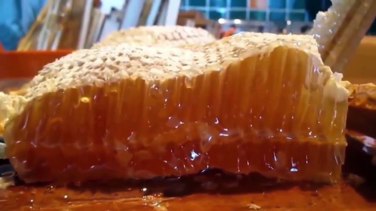 The Most Oddly Satisfying Video In The World #3 - Amazing Satisfying Video
