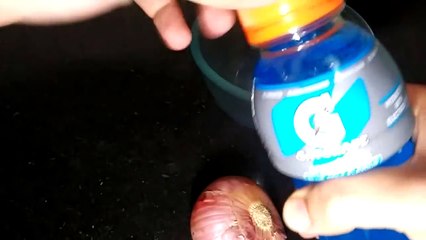 mobile charging try onion