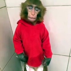 I can't hear you, sorry - Funny Clip