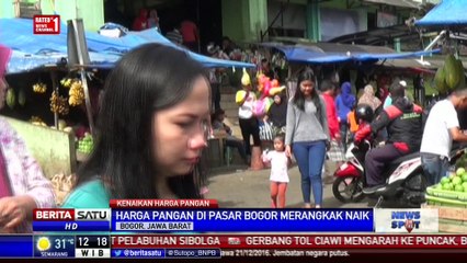 Kementan Nilai Lonjakan Harga Pangan Masih Batas Wajar