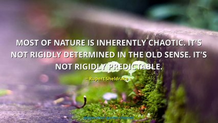 Rupert Sheldrake Quotes #2