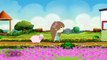 Where is Thumbkin? Nursery Rhyme | Cartoon Animation Songs For Children | Popular Kids Rhymes