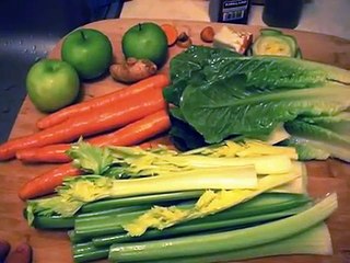 Breville JE98XL Juice Fountain Juicer