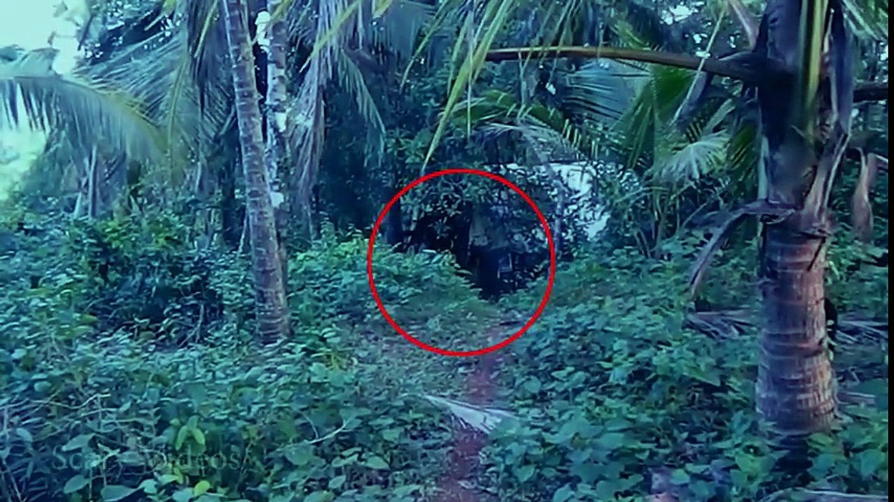 Real Ghost Caught on Tape Near Forest Cabin _ Shocking Ghost Sighting During Trekking _ Scary Video