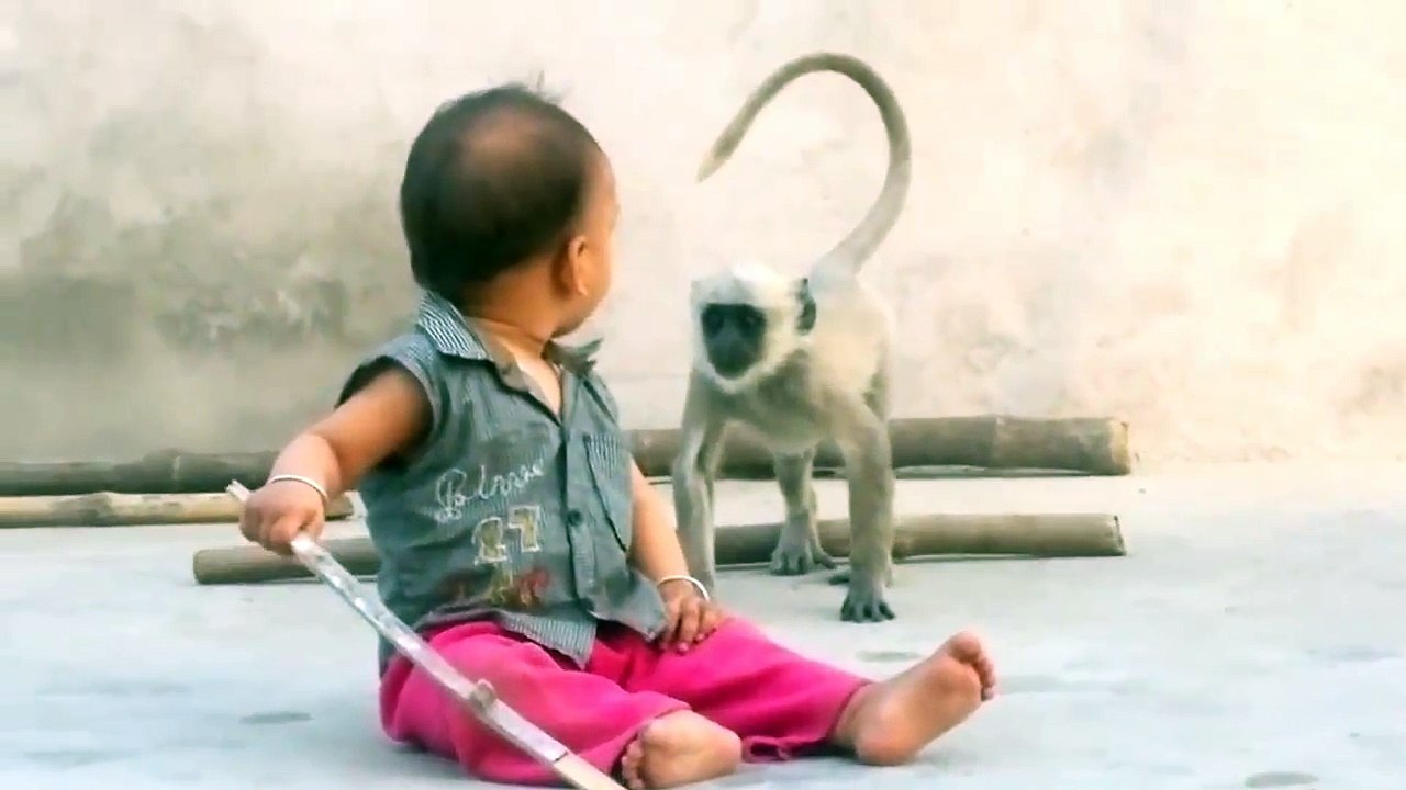Kid and Monkey Funny Clip