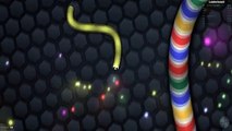 Amy Lee Plays Slither.io! | Meet Mr Wiggles! | Slither.io Lets Play | Amy Lee33