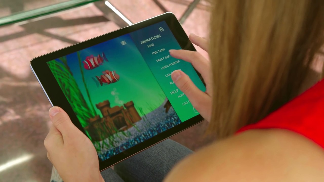 Candid Catmera iphone app