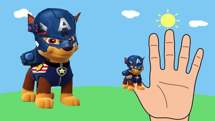 Paw Patrol Marvel Super Heroes Spiderman Hulk # Finger Family Songs Nursery Rhymes