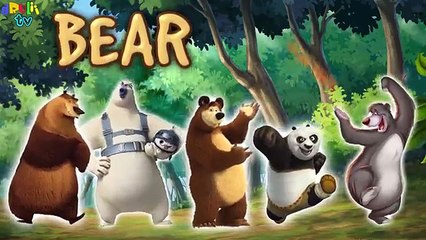Finger Family Bear | Cartoon & Real Animals song for children