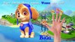 Skye from Paw Patrol Finger Family Nursery Rhymes Song - Learning Colors for Kids with Paw Patrol