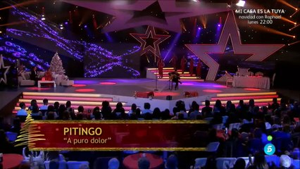 PITINGO - A PURO DOLOR en directo - SOUL BULERIA Y MÁS