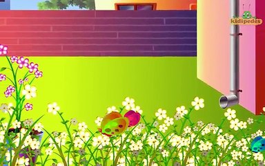 Incy Wincy Spider - Nursery Rhyme Collection & Childrens Song