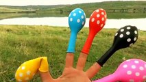 NEW Finger Family Song for Learning Colors Polka Dots Balloons Nursery Rhymes for Kids