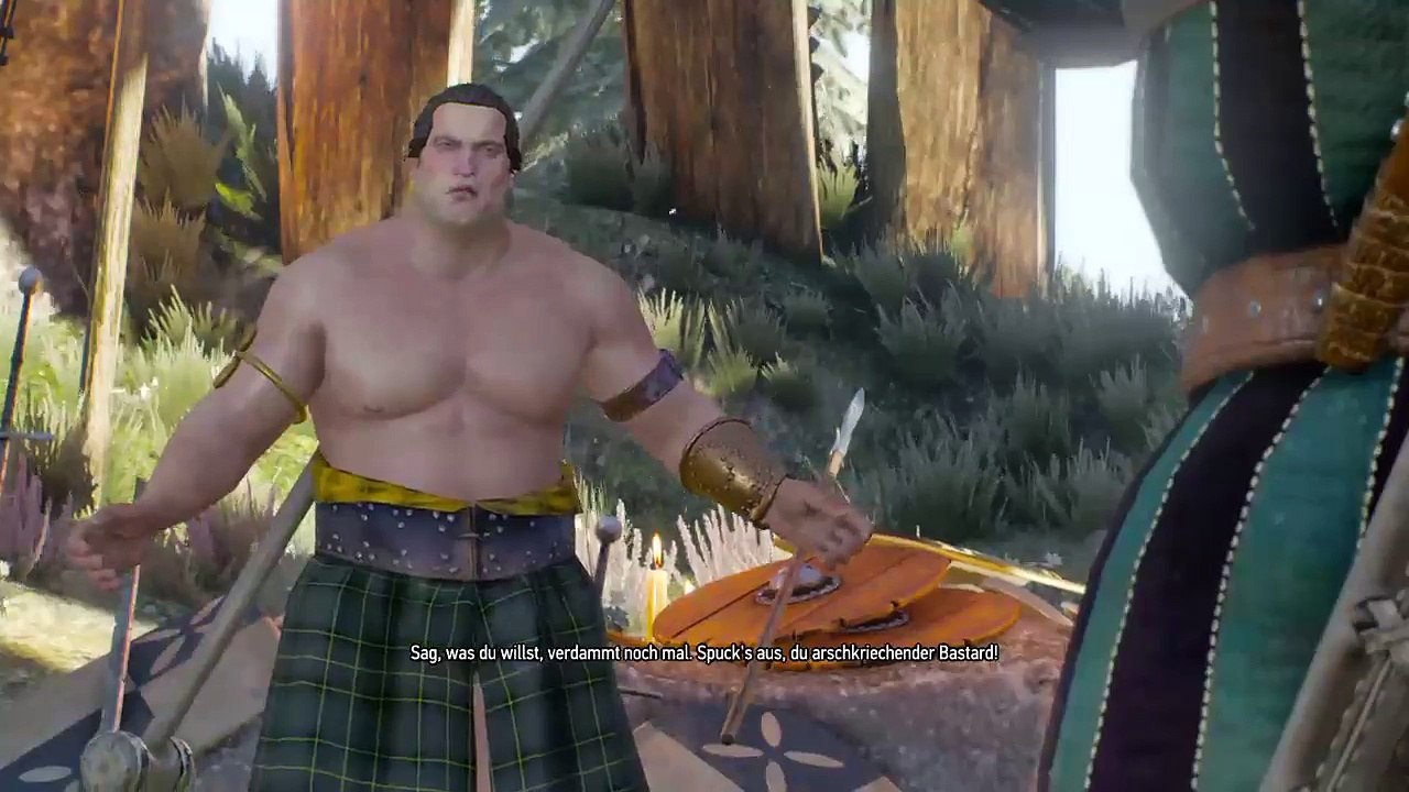 Witcher 3 (8)
