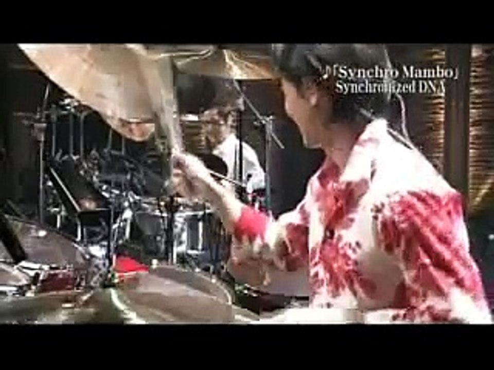 Synchronized DNA_Synchro Mambo