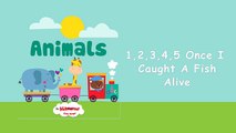 Animal Songs for Preschoolers | Animals Songs for Kindergarten