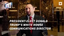 Trump's communications director backs out of White House job