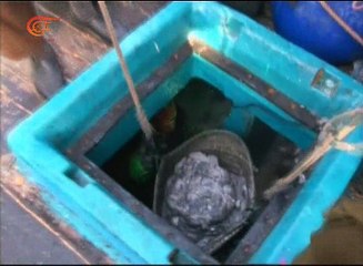 سوق الأسماك في مدينة كراتشي الأكبر في جنوب شرق آسيا