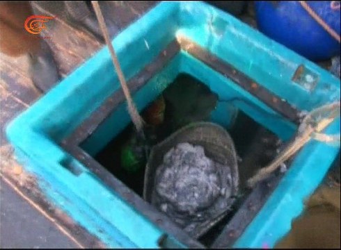 سوق الأسماك في مدينة كراتشي الأكبر في جنوب شرق آسيا