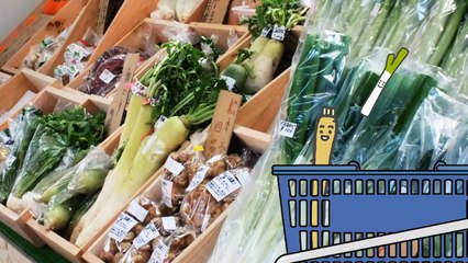 【9分連続】いないいないばぁっ総集編☆今週のノッカーナアニメ☆赤ちゃん笑う、喜ぶ、泣きやむpeekaboo animation