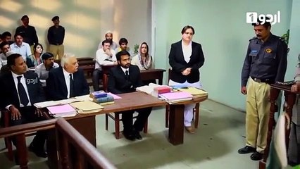 Ek Pal Ka Malal Episode 33