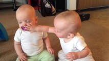 Twin Baby Girls Fight Over Pacifier.